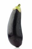 Big eggplant closeup