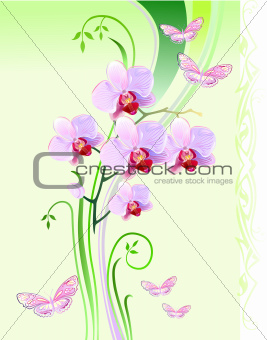 Orchids and butterflies on green background