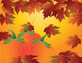 Pumpkin Patch with Fall Leaves Illustration