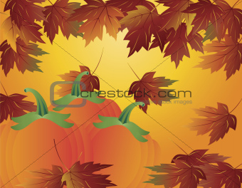 Pumpkin Patch with Fall Leaves Illustration