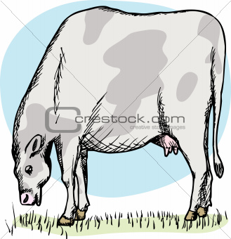 Fat Cow Grazing