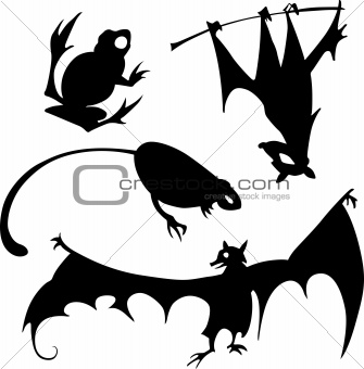 Bats and frogs