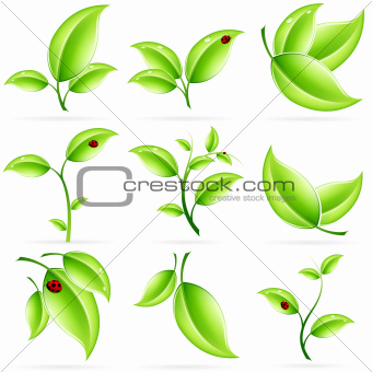 Fresh Green Leaves Icon Set