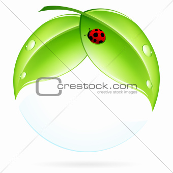Green Leaves with Ladybird