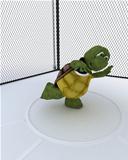 tortoise competing in discus