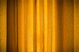 Gold vertical Curtain