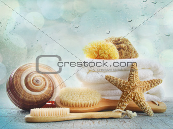 Assortment of spa brushes and sponges on white