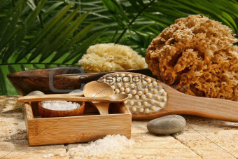 Spa still life with bath salt and brushes