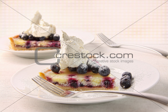 Closeup of fresh lemon blueberry tarte 