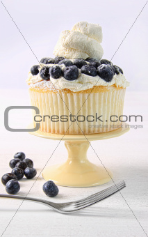 Summer dessert with blueberries and whip cream