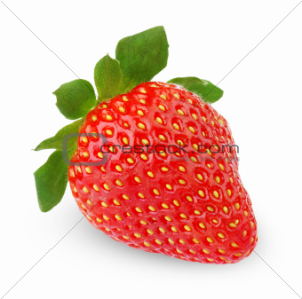 Single strawberry fruit