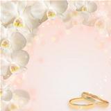 Wedding background with the rings and orchid