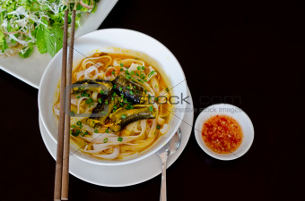 Vietnamese Eel Noodle (Mi Quang)