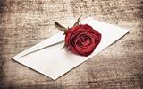Red Rose and Letter