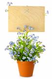 Wood Sign with Flowers / empty board for your text /  isolated o