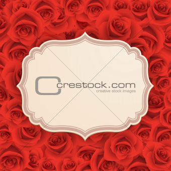 Greeting card with rose