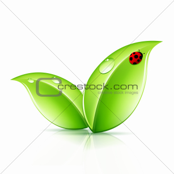 Green Leaves Symbol