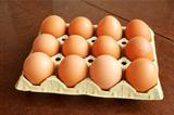 Eggs of hen