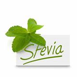 sugar leaf, stevia rebaudiana