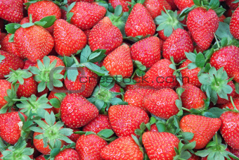 Fresh Strawberry closeup.