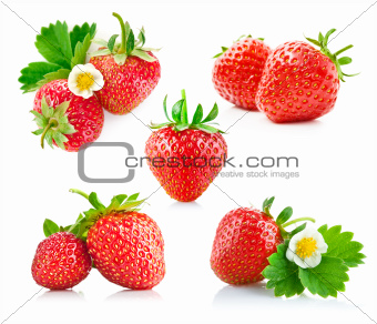 set strawberry berry with green leaf and flower