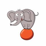 Cartoon elephant on a ball