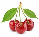 Three sweet cherries with leaves isolated on white