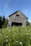 Leaning rustic old barn 