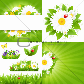 Set From Flower Backgrounds With Ladybug