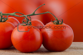 Cherry tomatoes vine