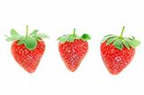 Three fresh strawberries closeup.