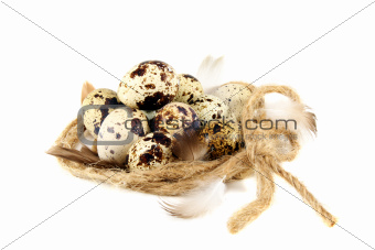 Colourful eggs in the nest.