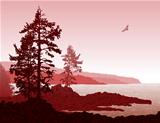 Vancouver Island BC West Coast Landscape