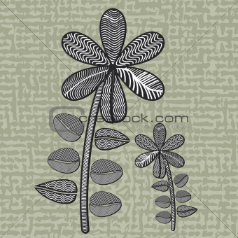 illustration of flowers lineart