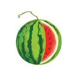 illustration of a watermelon