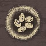 Eggs in nest on wooden texture. Vector illustration, EPS 10