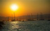 sailing boats on sea at sunset 