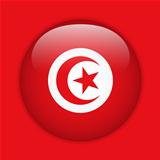 Turkey Flag Glossy Button