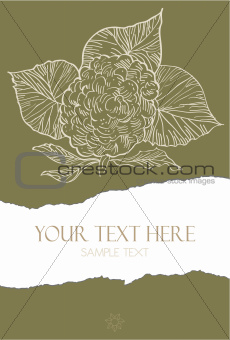 Flower illustration on torn paper