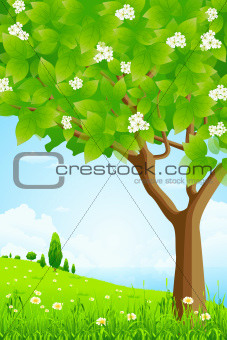Green Background with Trees and Sea