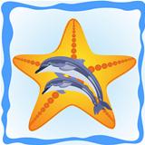 Starfish and dolphins