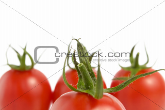 Tomatoes on White Background