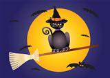 Halloween Cat Flying on Broomstick Illustration