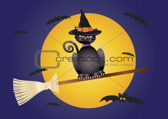 Halloween Cat Flying on Broomstick Illustration