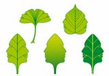 green leaves with faces, vector set