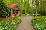 Keukenhof garden, Holland