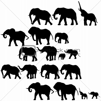 Background with elephants silhouettes