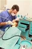 Dentist examination