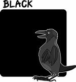 Color Black and Crow Cartoon