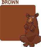 Color Brown and Bear Cartoon